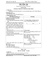 Bài soạn giao an lop 1 tuan 23 CKTKN