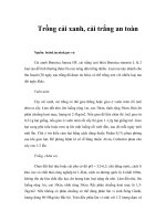 Tài liệu Trồng cải xanh, cải trắng an toàn pptx