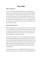 Tài liệu Chợ online docx