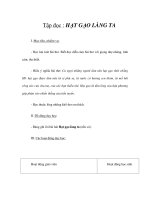 Tài liệu Tập đọc - HẠT GẠO LÀNG TA doc