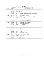 Gián án TUẦN 20 LỚP MỘT ( CKTKN)