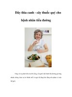 Tài liệu Dây thìa canh - cây thuốc quý cho bệnh nhân tiểu đường pdf