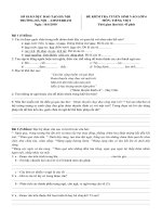 Bài soạn De thi dau nam