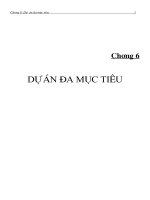 Ch ơng 6: Dự án đa mục tiêu 