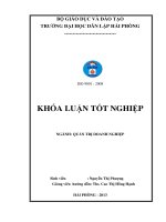 Tái cấu trúc nguồn nhân lực phù hợp với mục tiêu hợp tác chiến lược giữa sacombank – eximbank tại ngân hàng TMCP sài gòn thương tín – chi nhánh hải phòng 