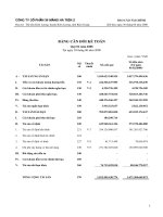 Tài liệu BÁO CÁO TÀI CHÍNH NĂM 2008 CỦA CỔ PHẦN XI MĂNG HÀ TIÊN 2 ppt