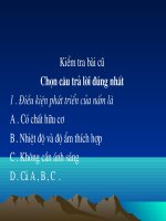 Bài giảng Tiết 65. Địa y