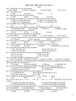 Bài soạn de khao sat hoa 9