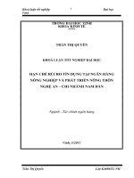 Hạn chế rủi ro tín dụng tại ngân hàng nông nghiệp và phát triển nông thôn nghệ an   chi nhánh nam đàn luận văn tốt nghiệp đại học 