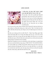 Đề tài một số GIẢIPHÁP NÂNG CAO HIỆU QUẢ HOẠT ĐỘNG KINH DOANH tại CÔNGTY TNHH TM DV VINA HOÀNG DŨNG 