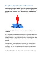 Tài liệu Định vị Thương hiệu: 13 tiêu thức của Paul Temporal -phần 1 docx