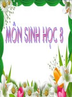 Bài giảng LẬP KHẨU PHẦN