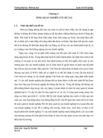 302 hoàn thiện tổ chức bộ máy quản trị của công ty TNHH việt thắng 