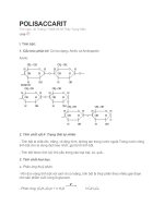 Tài liệu POLISACCARIT doc