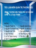 Tài liệu TIỂU LUẬN QUẢN TRỊ THƯƠNG HIỆU-ĐỀ TÀI: THƯƠNG HIỆU THÀNH PHỐ HỒ CHÍ MINH doc