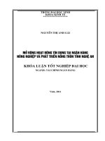 Mở rộng hoạt động tín dụng tại ngân hàng nông nghiệp và phát triển nông thôn tỉnh nghệ an luận văn tốt nghiệp đại học 