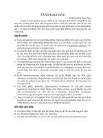 Tài liệu Giáo trình Tăng Kali máu docx