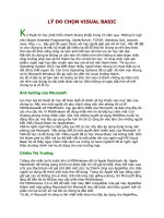 Tài liệu Làm quen VB-6-LÝ DO CHỌN VISUAL BASIC pdf