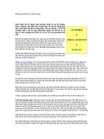 Tài liệu Phương trình tạo ra ảnh hưởng pptx