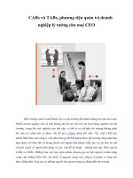 Tài liệu CABs và TABs, phương tiện quản trị doanh nghiệp lý tưởng cho mọi CEO docx
