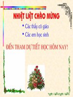 Bài soạn Tiết 51- Phương trình bậc hai một ẩn