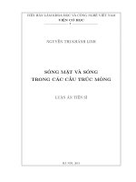 Sóng mặt và sóng trong các cấu trúc mỏng 