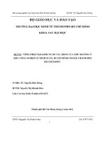TÍNH THIỆT hại KINH tế DO tác ĐỘNG của môi TRƯỜNG ở KHU CÔNG NGHIỆP lê MINH XUÂN, HUYỆN BÌNH CHÁNH, THÀNH PHỐ hồ CHÍ MINH 