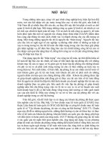 Luan van chuyen de một số vấn đề tổ chức vận dụng chế độ tài chính và kế toán các khoản dự phòng hiện nay trong các doanh nghiệp chuan 