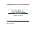 Tài liệu Intrusion Detection The Big Picture – Part VI pdf