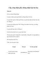 Tài liệu Cấp, công nhận giấy chứng nhận loại tàu bay pdf