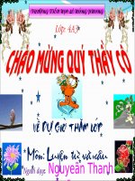 Tài liệu Đông từ