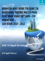 Đánh giá hoạt động tín dụng tại ngân hàng thương mại cổ phần xuất nhập khẩu việt nam – chi nhánh huế giai đoạn 2010 – 2012 