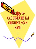Tài liệu Giáo trình tiền tệ - Chương 13 docx