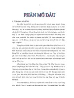 Một số giải pháp nhằm góp phần phát triển công ty bảo việt đồng nai đến năm 2020 