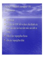 Tài liệu BÀI GIẢNG VI SINH SAU THU HOẠCH - Phần 4 doc