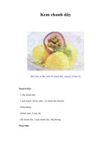 Tài liệu Kem chanh dây doc