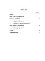 Thể song song và định lí chọn balaschke 