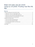 Phân tích báo cáo tài chính Công ty Cổ phần Thương mại Bia Hà Nội