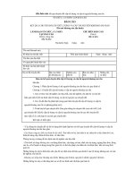 Tài liệu Mẫu báo cáo kết quả chuyển đổi cấp trữ lượng và cấp tài nguyên khoáng sản rắn pptx