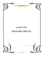 Tài liệu Tiểu luận 