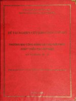 Thương mại công bằng và các giải pháp phát triển tại việt nam 