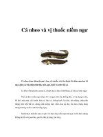 Tài liệu Cá nheo và vị thuốc niềm ngư pdf