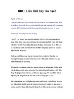 Tài liệu BBC: Liều lĩnh hay táo bạo? docx