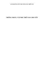 Tài liệu Trồng Nhãn, Vải như thế nào cho tốt? doc