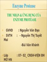 Tài liệu THU NHẬN VÀ ỨNG DỤNG CỦA ENZYME PROTEASE pptx