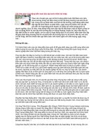 Tài liệu Cần kiện toàn hoạt động kiểm toán độc lập trước thềm hội nhập doc