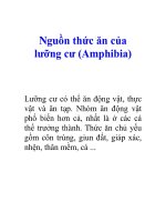 Tài liệu Nguồn thức ăn của lưỡng cư (Amphibia) pptx