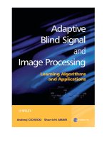 Tài liệu Adaptive Live Signal and Image Processing pdf