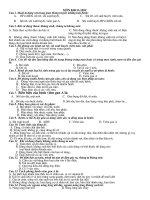 Bài soạn đề thi tiểu học chọn hsg