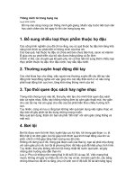 Gián án thong minh tu trong bung me